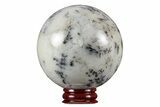 Polished Dendritic Agate Sphere - Madagascar #218929-1